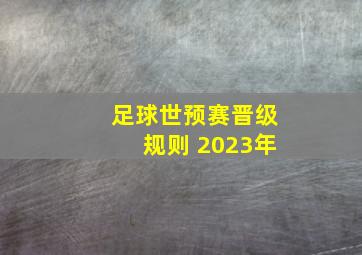 足球世预赛晋级规则 2023年